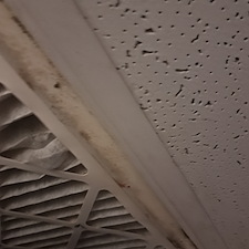 Kept-Cool-Clean-in-Palm-Beach- 5